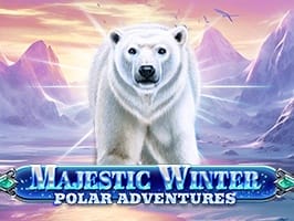 Majestic Winter Polar Adventures
